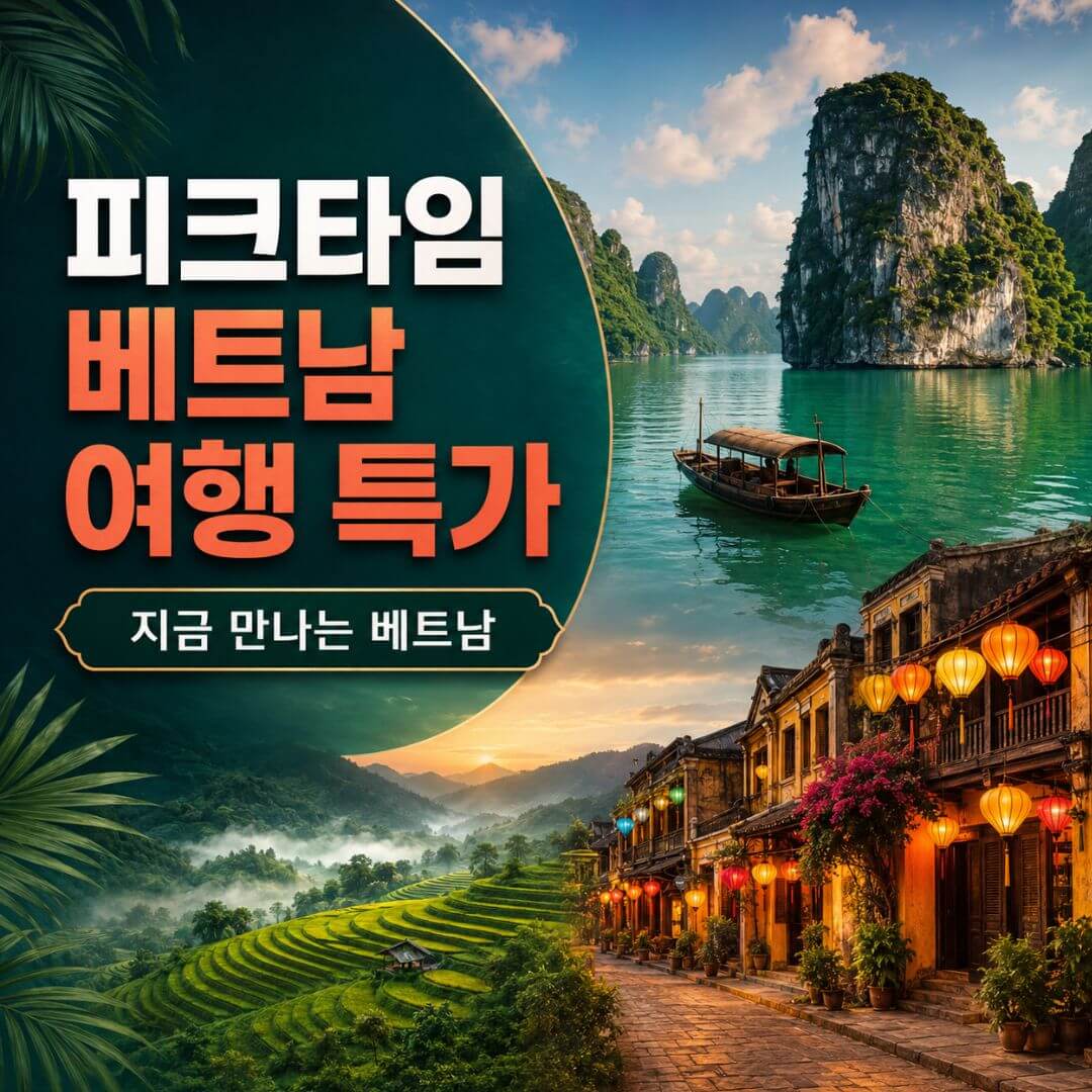투어 차량 1만원 할인